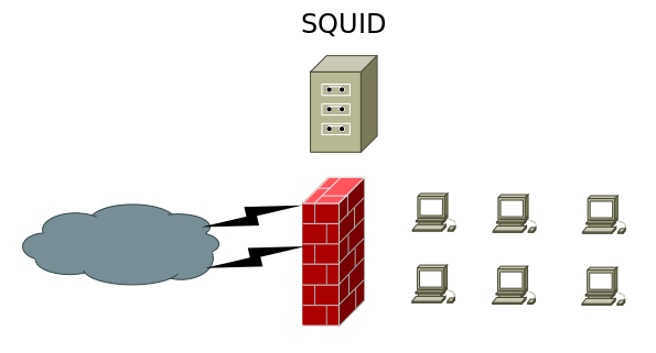 squid прозрачный прокси