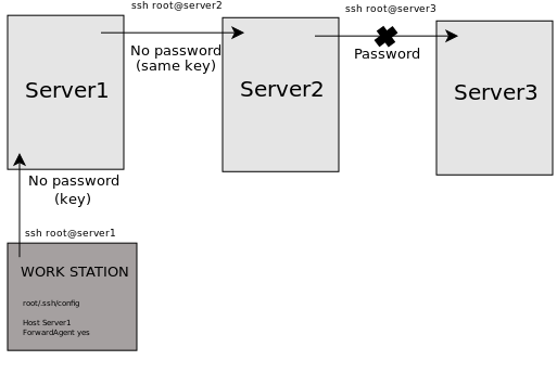 SSH agent forwarding