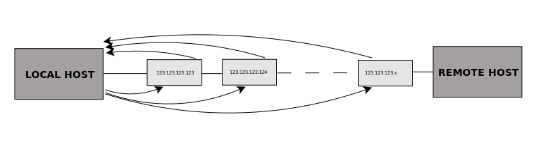traceroute linux