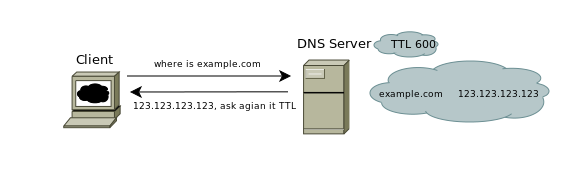 DNS TTL