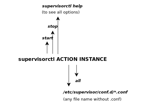 supervisord