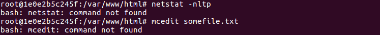 образ Nginx в Docker