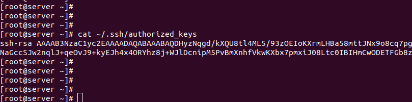 SSH авторизация по паролю