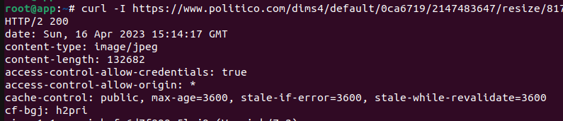 Заголовок cache control