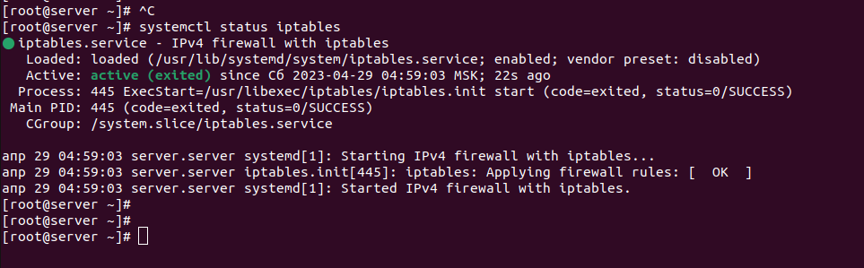 iptables status