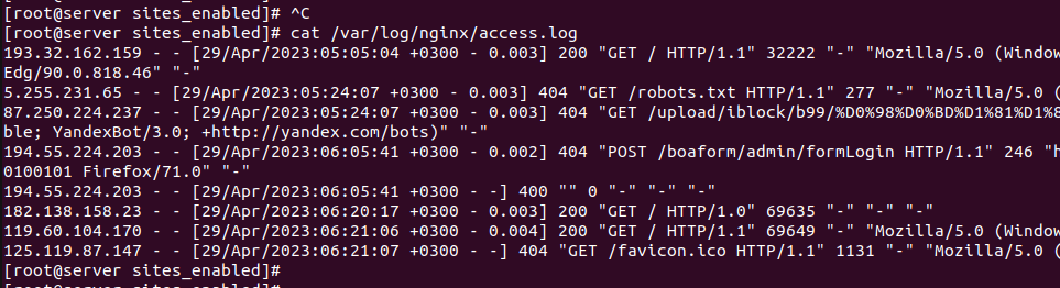Nginx логирование