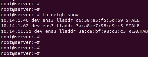 Как очистить arp кэш в Linux