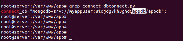 docker link