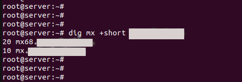 dns dig в linux