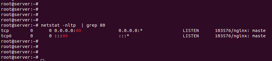 nginx на порту 80