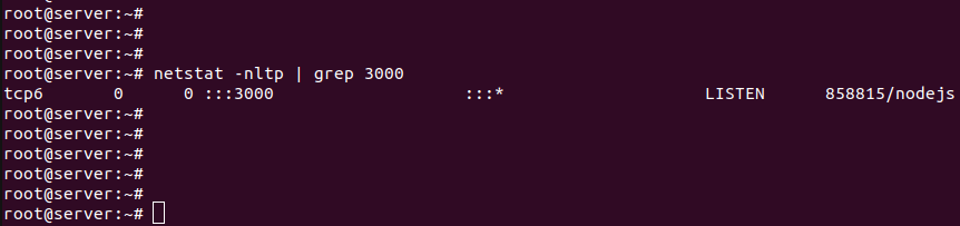 nodejs 3000 port