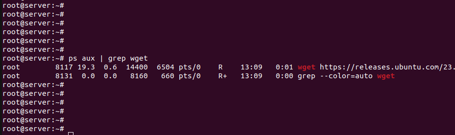 nohup linux