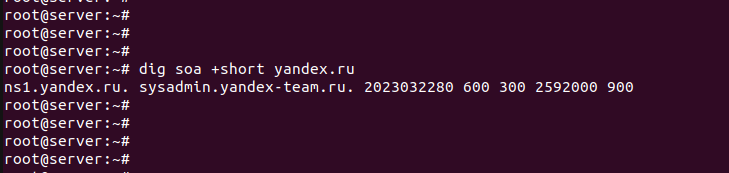проверить dns записи домена