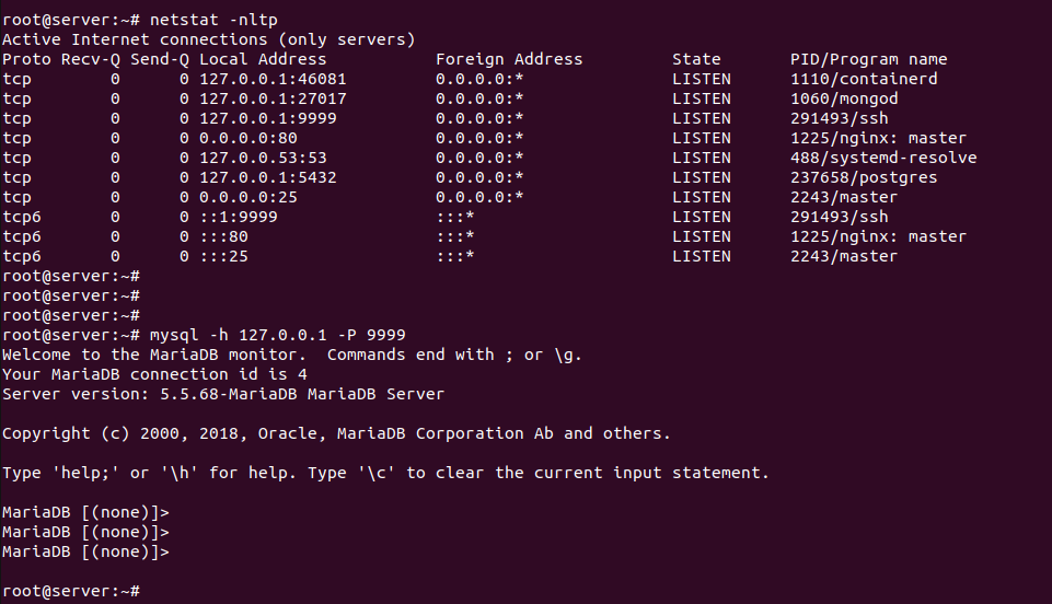 ssh tunnel в linux