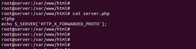 X-Forwarded-Proto